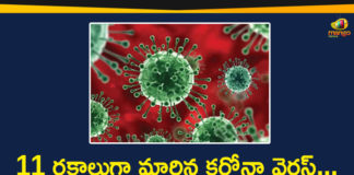 A2a Corona Most Dangerous, Coronavirus, Coronavirus Breaking News, Coronavirus History, coronavirus india, coronavirus india live updates, Coronavirus outbreak, Coronavirus Pandemic, Coronavirus Precautions, Coronavirus Prevention, Coronavirus Symptoms, Coronavirus Update, COVID-19, Indian Scientists Says Coronavirus Turns Into 11 types