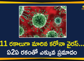 A2a Corona Most Dangerous, Coronavirus, Coronavirus Breaking News, Coronavirus History, coronavirus india, coronavirus india live updates, Coronavirus outbreak, Coronavirus Pandemic, Coronavirus Precautions, Coronavirus Prevention, Coronavirus Symptoms, Coronavirus Update, COVID-19, Indian Scientists Says Coronavirus Turns Into 11 types