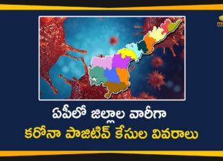Andhra Pradesh, AP Corona Positive Cases, AP Coronavirus, AP COVID 19 Cases, AP District wise Corona Positive Cases, AP Total Positive Cases, Coronavirus, Coronavirus Breaking News, Coronavirus Live Updates, COVID-19, District wise Corona Positive Cases In AP, Total Corona Cases In AP