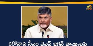 Andhra Pradesh, AP CM YS Jagan, AP CM YS Jagan Comments on Coronavirus, AP Coronavirus Updates, AP News, Chandrababu Comments On YS Jagan, Chandrababu Criticizes AP CM, Chandrababu Criticizes CM YS Jagan, Chandrababu Criticizes CM YS Jagan Comments on Coronavirus, Chandrababu Naidu, CM YS Jagan Comments on Coronavirus