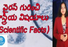 కరోనా మహమ్మారి శాస్త్రీయ వాస్తవాలపై వివరణ Scientific Facts About Pandemic,Things You Should Be Aware Of Pandemic,YUVARAJ infotainment,outbreak in hyderabad,outbreak latest news,outbreak latest updates,who about pandemic,who about pandemic symptoms,world health organization,world health organization about pandemic,pandemic,pandemic latest news,pandemic latest updates,pandemic symptoms,pandemic in hyderabad,pandemic in india,pandemic demise rate,health facts,health tips,effective health tips