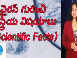 Scientific Facts About Pandemic,Things You Should Be Aware Of Pandemic,YUVARAJ infotainment,outbreak in hyderabad,outbreak latest news,outbreak latest updates,who about pandemic,who about pandemic symptoms,world health organization,world health organization about pandemic,pandemic,pandemic latest news,pandemic latest updates,pandemic symptoms,pandemic in hyderabad,pandemic in india,pandemic demise rate,health facts,health tips,effective health tips