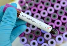 Andhra Pradesh, AP Corona Cases, AP Corona Positive Cases, AP Coronavirus, AP COVID 19 Cases, AP Total Positive Cases, Corona Positive Cases, Coronavirus, COVID-19, State wise Corona Positive Cases, telangana, Telangana Corona Positive Cases, Telangana Coronavirus, Telangana Coronavirus Deaths