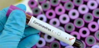 Andhra Pradesh, AP Corona Cases, AP Corona Positive Cases, AP Coronavirus, AP COVID 19 Cases, AP Total Positive Cases, Corona Positive Cases, Coronavirus, COVID-19, State wise Corona Positive Cases, telangana, Telangana Corona Positive Cases, Telangana Coronavirus, Telangana Coronavirus Deaths