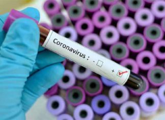 Andhra Pradesh, AP Corona Cases, AP Corona Positive Cases, AP Coronavirus, AP COVID 19 Cases, AP Total Positive Cases, Corona Positive Cases, Coronavirus, COVID-19, State wise Corona Positive Cases, telangana, Telangana Corona Positive Cases, Telangana Coronavirus, Telangana Coronavirus Deaths