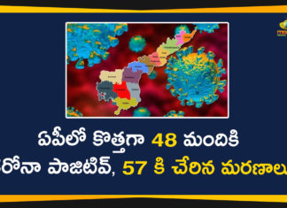 Andhra Pradesh, AP Corona Cases, AP Corona Positive Cases, AP Coronavirus, AP COVID 19 Cases, AP Total Positive Cases, Corona Positive Cases, Coronavirus, Coronavirus Breaking News, Coronavirus Latest News, Coronavirus Live Updates, COVID-19, India COVID 19 Cases, Total Corona Cases In AP, Total COVID 19 Cases