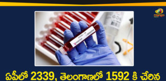 Andhra Pradesh, AP Corona Positive Cases, AP Coronavirus, AP COVID 19 Cases, AP Total Positive Cases, Corona Positive Cases, Coronavirus, COVID-19, State wise Corona Positive Cases, telangana, Telangana Coronavirus, Telangana Coronavirus Deaths, Telugu States Corona Updates, Telugu States Coronavirus