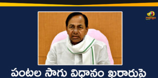 CM KCR, Crop Cultivation Model, KCR To Decide Crop Cultivation Model, Regulated paddy farming in TS, Search Results Web results KCR To Chair High-level Meeting, telangana, Telangana Agriculture News, Telangana CM KCR, Telangana Crop Cultivation Model, telangana government, Telangana News
