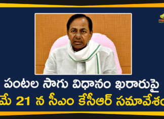 CM KCR, Crop Cultivation Model, KCR To Decide Crop Cultivation Model, Regulated paddy farming in TS, Search Results Web results KCR To Chair High-level Meeting, telangana, Telangana Agriculture News, Telangana CM KCR, Telangana Crop Cultivation Model, telangana government, Telangana News