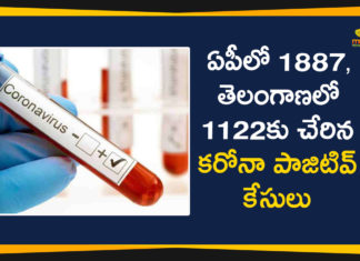 Andhra Pradesh, AP Corona Cases, AP Corona Positive Cases, AP Coronavirus, AP COVID 19 Cases, AP Total Positive Cases, Corona Positive Cases, Coronavirus, COVID-19, State wise Corona Positive Cases, telangana, Telangana Corona Positive Cases, Telangana Coronavirus, Telangana Coronavirus Deaths