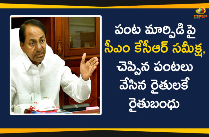 agriculture policy, CM KCR, CM KCR Review Over Crops Cultivation, Crops Cultivation and Policies, KCR Conducts Review Over Crops Cultivation and Policies, Paddy cultivation, Rythu Bandhu Scheme, telangana, telangana agriculture development, Telangana Agriculture News, Telangana CM KCR