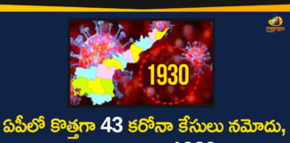 1930 Corona Positive Cases, Andhra Pradesh, AP Corona Positive Cases, AP Coronavirus, AP COVID 19 Cases, AP Total Positive Cases, Coronavirus, Coronavirus Breaking News, Coronavirus Latest News, Coronavirus Live Updates, COVID-19, Total Corona Cases In AP, Total COVID 19 Cases