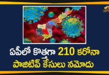 210 New Corona Cases Reported in AP, Andhra Pradesh, AP Corona Positive Cases, AP Coronavirus, AP COVID 19 Cases, AP new corona cases, AP Total Positive Cases, Coronavirus, Coronavirus Live Updates, COVID-19, Total Corona Cases In AP