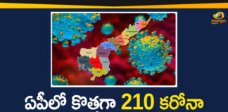 210 New Corona Cases Reported in AP, Andhra Pradesh, AP Corona Positive Cases, AP Coronavirus, AP COVID 19 Cases, AP new corona cases, AP Total Positive Cases, Coronavirus, Coronavirus Live Updates, COVID-19, Total Corona Cases In AP