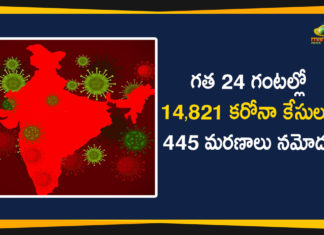 4.25 lakhs corona cases In India, Coronavirus cases in India, Coronavirus Deaths In India, Coronavirus Higlights, Coronavirus In India, Coronavirus in India live updates, Coronavirus news highlights, Coronavirus outbreak, Coronavirus Positive Cases In India, india coronavirus cases, india coronavirus deaths