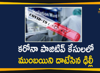 Delhi, delhi coronavirus, delhi coronavirus cases, Delhi Coronavirus Deaths, Delhi Covid 19, Delhi Covid 19 Updates, Delhi Overtakes Mumbai in Covid-19 Positive Cases, India Corona Updates, national news
