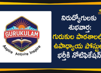Ekalavya Gurukulam Schools Teachers, Notification for Recruitment of Telangana Ekalavya Gurukulam, Recruitment of Telangana Ekalavya Gurukulam Schools Teachers, Telangana Ekalavya Gurukulam, Telangana Ekalavya Gurukulam Notification, Telangana Ekalavya Gurukulam Schools Teachers, Telangana Ekalavya Gurukulam Schools Teachers Recruitment