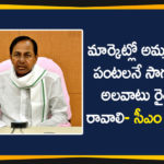 CM KCR, CM KCR Appeals the Farmers to Cultivating Crops, Crop Cultivation Model, Crop Cultivation Policy, Cultivating Crops which are in Demand, KCR Appeals the Farmers to Cultivating Crops In Demand, KCR Meeting On Crop Cultivation Policy, KCR To Decide Crop Cultivation Model, Telangana Crop Cultivation Model
