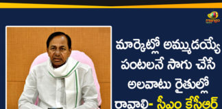 CM KCR, CM KCR Appeals the Farmers to Cultivating Crops, Crop Cultivation Model, Crop Cultivation Policy, Cultivating Crops which are in Demand, KCR Appeals the Farmers to Cultivating Crops In Demand, KCR Meeting On Crop Cultivation Policy, KCR To Decide Crop Cultivation Model, Telangana Crop Cultivation Model