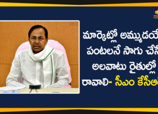 CM KCR, CM KCR Appeals the Farmers to Cultivating Crops, Crop Cultivation Model, Crop Cultivation Policy, Cultivating Crops which are in Demand, KCR Appeals the Farmers to Cultivating Crops In Demand, KCR Meeting On Crop Cultivation Policy, KCR To Decide Crop Cultivation Model, Telangana Crop Cultivation Model
