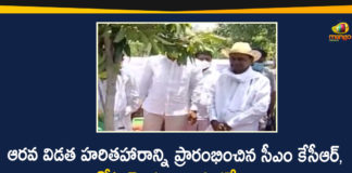 6th Phase Haritha Haram, 6th Phase Haritha Haram Programme, Haritha Haram, Haritha Haram Program, Haritha Haram Program in Telangana, Haritha Haram Programme, Haritha Haram Programme in Narsapur, KCR to Start 6th Phase Haritha Haram Programme, Medak District