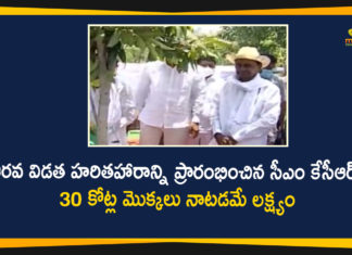 6th Phase Haritha Haram, 6th Phase Haritha Haram Programme, Haritha Haram, Haritha Haram Program, Haritha Haram Program in Telangana, Haritha Haram Programme, Haritha Haram Programme in Narsapur, KCR to Start 6th Phase Haritha Haram Programme, Medak District