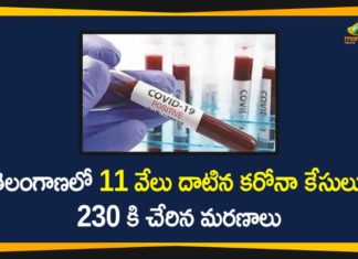 920 New Positive Cases In Telangana, Coronavirus, Coronavirus Breaking News, Coronavirus Latest News, COVID-19, COVID-19 in Telangana, telangana, Telangana Coronavirus, Telangana Coronavirus Cases, Telangana Coronavirus Deaths, Telangana Coronavirus New Cases, Telangana Coronavirus News, Telangana New Positive Cases, Total COVID 19 Cases