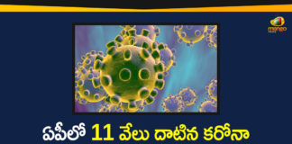 Andhra Pradesh, AP Corona Positive Cases, AP Coronavirus, AP COVID 19 Cases, AP Total Positive Cases, Coronavirus, Coronavirus Breaking News, Coronavirus Latest News, Coronavirus Live Updates, COVID-19, Total Corona Cases In AP