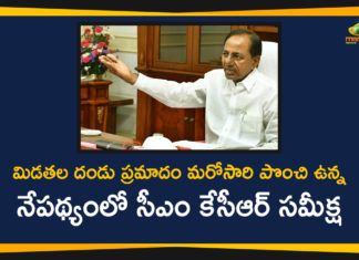 CM KCR Held Review Meeting On Measures Locusts, CM KCR Meeting On Locusts, CM KCR Review Meeting, KCR Review Meeting, Locust, Locust Damages Crop, Locust swarm of grasshoppers, Locusts Attack In Telanagana, Locusts Control Measures, Telangana CM KCR, Telangana News, Telangana Political News