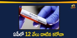 Andhra Pradesh, AP Corona Positive Cases, AP Coronavirus, AP COVID 19 Cases, AP Total Positive Cases, Coronavirus, Coronavirus Breaking News, Coronavirus Latest News, Coronavirus Live Updates, COVID-19, Covid-19 in AP, Total Corona Cases In AP