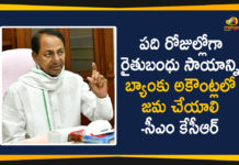 KCR Over Rythu Bandhu Money to Farmers Accounts, Rythu Bandhu Money, Rythu Bandhu Money to Farmers Accounts, Rythu Bandhu Money to Farmers Accounts with in 10 Days, Rythu Bandhu Scheme, Rythu Bandhu Scheme Laetst News, Rythu Bandhu Scheme Status, Telangana CM KCR, Telangana Rythu Bandhu, Telangana Rythu Bandhu Scheme