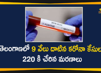 Telangana Corona Updates, Coronavirus, Coronavirus Breaking News, Coronavirus Latest News, COVID-19, telangana, Telangana Coronavirus, Telangana Coronavirus Cases, Telangana Coronavirus Deaths, Telangana Coronavirus New Cases, Telangana Coronavirus News, Telangana New Positive Cases, Total COVID 19 Cases