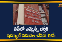 Andhra Pradesh, Andhra Pradesh Political Updates, AP CM YS Jagan, AP Legislative Council, AP News, AP Vacant MLC Seat, EC Announced Schedule to Fill Vacant MLC Seat, MLC Elections, Vacant MLC Seat In Ap, Vacant MLC Seat in AP Legislative Council