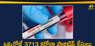 Coronavirus in Tamil Nadu, Tamil Nadu, Tamil Nadu Corona Cases, Tamil Nadu Corona Deaths, Tamil Nadu Corona Positive Cases, Tamil Nadu Coronavirus, Tamil Nadu Coronavirus Cases, Tamil Nadu Coronavirus News, Tamil Nadu Coronavirus Updates, Tamil Nadu Covid-19 Cases,