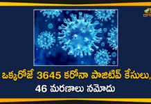 Coronavirus in Tamil Nadu, Tamil Nadu, Tamil Nadu Corona Cases, Tamil Nadu Corona Deaths, Tamil Nadu Corona Positive Cases, Tamil Nadu Coronavirus, Tamil Nadu Coronavirus Cases, Tamil Nadu Coronavirus News, Tamil Nadu Coronavirus Updates, Tamil Nadu Covid-19 Cases,