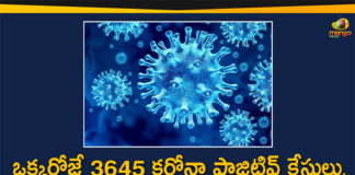 Coronavirus in Tamil Nadu, Tamil Nadu, Tamil Nadu Corona Cases, Tamil Nadu Corona Deaths, Tamil Nadu Corona Positive Cases, Tamil Nadu Coronavirus, Tamil Nadu Coronavirus Cases, Tamil Nadu Coronavirus News, Tamil Nadu Coronavirus Updates, Tamil Nadu Covid-19 Cases,