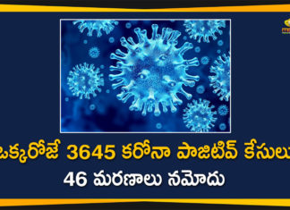 Coronavirus in Tamil Nadu, Tamil Nadu, Tamil Nadu Corona Cases, Tamil Nadu Corona Deaths, Tamil Nadu Corona Positive Cases, Tamil Nadu Coronavirus, Tamil Nadu Coronavirus Cases, Tamil Nadu Coronavirus News, Tamil Nadu Coronavirus Updates, Tamil Nadu Covid-19 Cases,