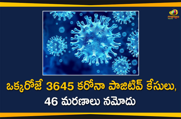 Coronavirus in Tamil Nadu, Tamil Nadu, Tamil Nadu Corona Cases, Tamil Nadu Corona Deaths, Tamil Nadu Corona Positive Cases, Tamil Nadu Coronavirus, Tamil Nadu Coronavirus Cases, Tamil Nadu Coronavirus News, Tamil Nadu Coronavirus Updates, Tamil Nadu Covid-19 Cases,