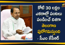 CM KCR, CM KCR Review Meeting, CM KCR Review Meeting over Regulatory Farming, Cultivating Crops, KCR Cultivating Crops, Regulatory Farming, Strategy for Cultivating Crops, Telangana Agricultural News, Telangana CM KCR, Telangana Regulatory Farming