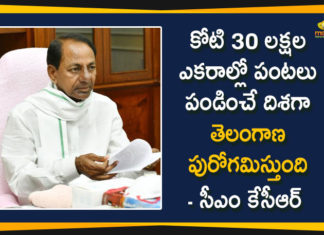 CM KCR, CM KCR Review Meeting, CM KCR Review Meeting over Regulatory Farming, Cultivating Crops, KCR Cultivating Crops, Regulatory Farming, Strategy for Cultivating Crops, Telangana Agricultural News, Telangana CM KCR, Telangana Regulatory Farming