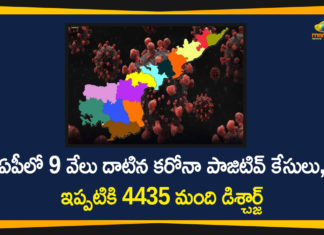 andhra pradesh, AP Corona Positive Cases, AP Coronavirus, AP COVID 19 Cases, AP Total Positive Cases, Coronavirus, Coronavirus Breaking News, coronavirus latest news, Coronavirus live updates, COVID-19, Total Corona Cases In AP