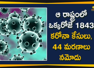 Coronavirus in Tamil Nadu, Tamil Nadu, Tamil Nadu Corona Cases, Tamil Nadu Corona Deaths, Tamil Nadu Corona Positive Cases, Tamil Nadu Coronavirus, Tamil Nadu Coronavirus Cases, Tamil Nadu Coronavirus News, Tamil Nadu Coronavirus Updates, Tamil Nadu Covid-19 Cases, Tamil Nadu Reports 1562 New Covid-19 Cases