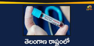 Free Corona Tests, Free Corona Tests in GHMC, Free Corona Tests in GHMC Area, Free Corona Tests in Telangana, free COVID tests, free COVID tests in GHMC, GHMC, Hyderabad, Hyderabad Coronavirus News, telangana, Telangana Coronavirus, Telangana Coronavirus Deaths