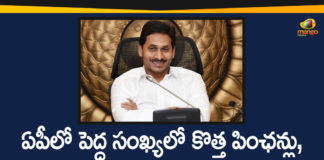 Andhra Pradesh, Andhra Pradesh News, AP Govt Granted 96568 New Pensions, AP Govt New Pensions, AP New Pensions, AP Pension, ap pension scheme, AP Pension Status, New Pension rules, New Pensions In AP, YSR Pension Kanuka