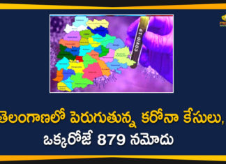 Coronavirus, Coronavirus Breaking News, Coronavirus Latest News, COVID-19, telangana, Telangana Coronavirus, Telangana Coronavirus Cases, Telangana Coronavirus Deaths, Telangana Coronavirus New Cases, Telangana Coronavirus News, Telangana New Positive Cases, Total COVID 19 Cases