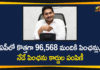 Andhra Pradesh, Andhra Pradesh News, AP Govt Granted 96568 New Pensions, AP Govt New Pensions, AP New Pensions, AP Pension, ap pension scheme, AP Pension Status, New Pension rules, New Pensions In AP, YSR Pension Kanuka