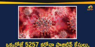 Corona Positive Cases in Maharashtra, Corona Positive Cases In Maharashtra , Maharashtra, Maharashtra , Maharashtra Corona, Maharashtra Corona Cases, Maharashtra Corona Deaths, Maharashtra Corona Positive Cases, Maharashtra Coronavirus, Maharashtra Coronavirus Positive Cases, Maharashtra Coronavirus Updates, Maharashtra COVID 19