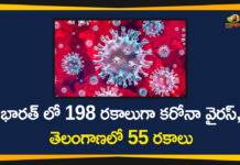 198 Types Of Coronavirus Found In India, Corona Outbreak, Coronavirus In India, Coronavirus in India Highlights, Coronavirus in India live updates, Coronavirus Types, Mango News Telugu, Types Of Corona, Types Of Coronavirus, Types Of Coronavirus In India