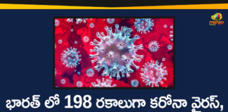 198 Types Of Coronavirus Found In India, Corona Outbreak, Coronavirus In India, Coronavirus in India Highlights, Coronavirus in India live updates, Coronavirus Types, Mango News Telugu, Types Of Corona, Types Of Coronavirus, Types Of Coronavirus In India