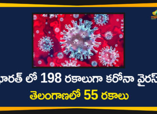 198 Types Of Coronavirus Found In India, Corona Outbreak, Coronavirus In India, Coronavirus in India Highlights, Coronavirus in India live updates, Coronavirus Types, Mango News Telugu, Types Of Corona, Types Of Coronavirus, Types Of Coronavirus In India